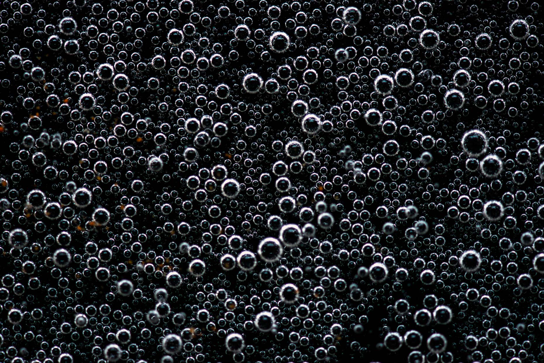001_adrian_mueller_liquids_drinks_bubbles_05