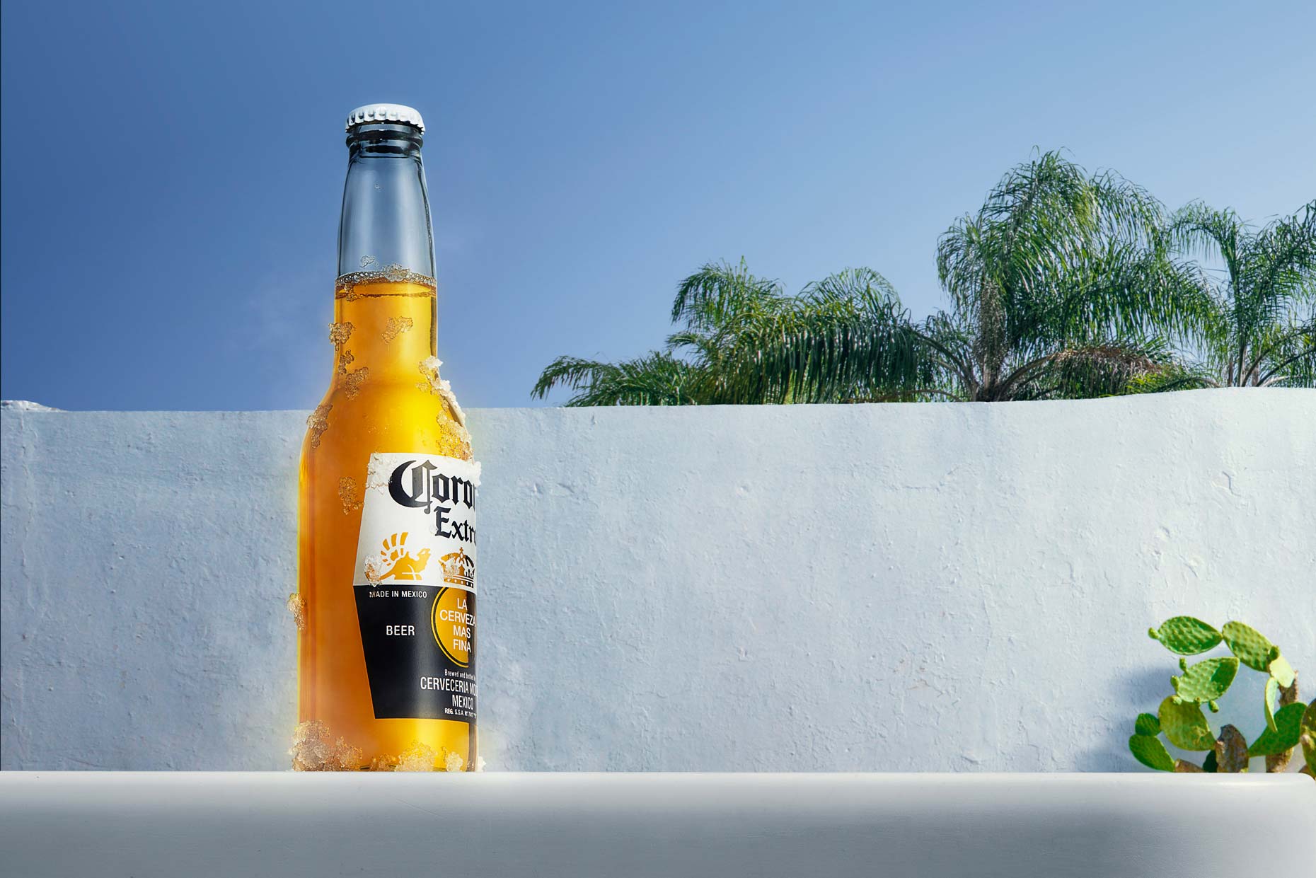 Corona_beer_02