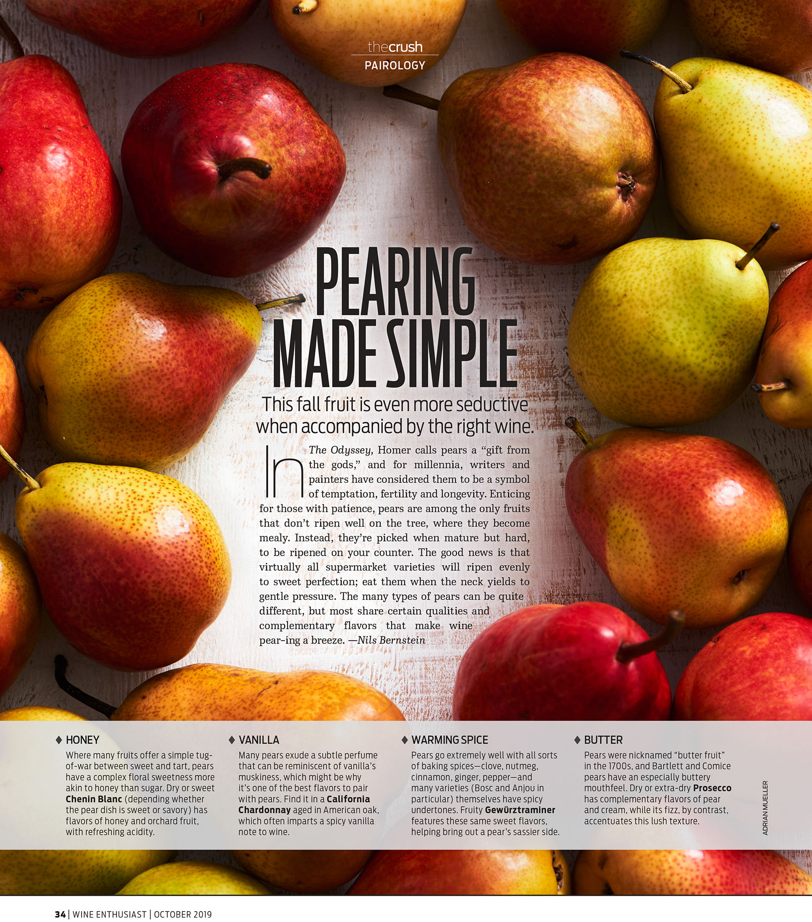 Wine Enthusiast Pairology Article